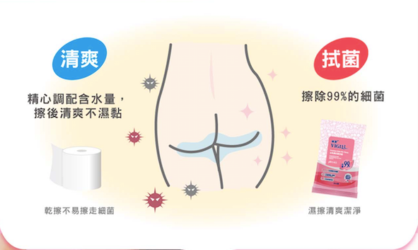 Vigill Feminine Toilet Wet Tissue 婦潔女性濕式衛生紙 (12片/包)