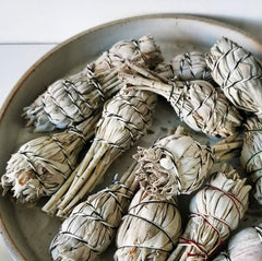 美國加州白鼠尾草 Smudge Stick White Sage